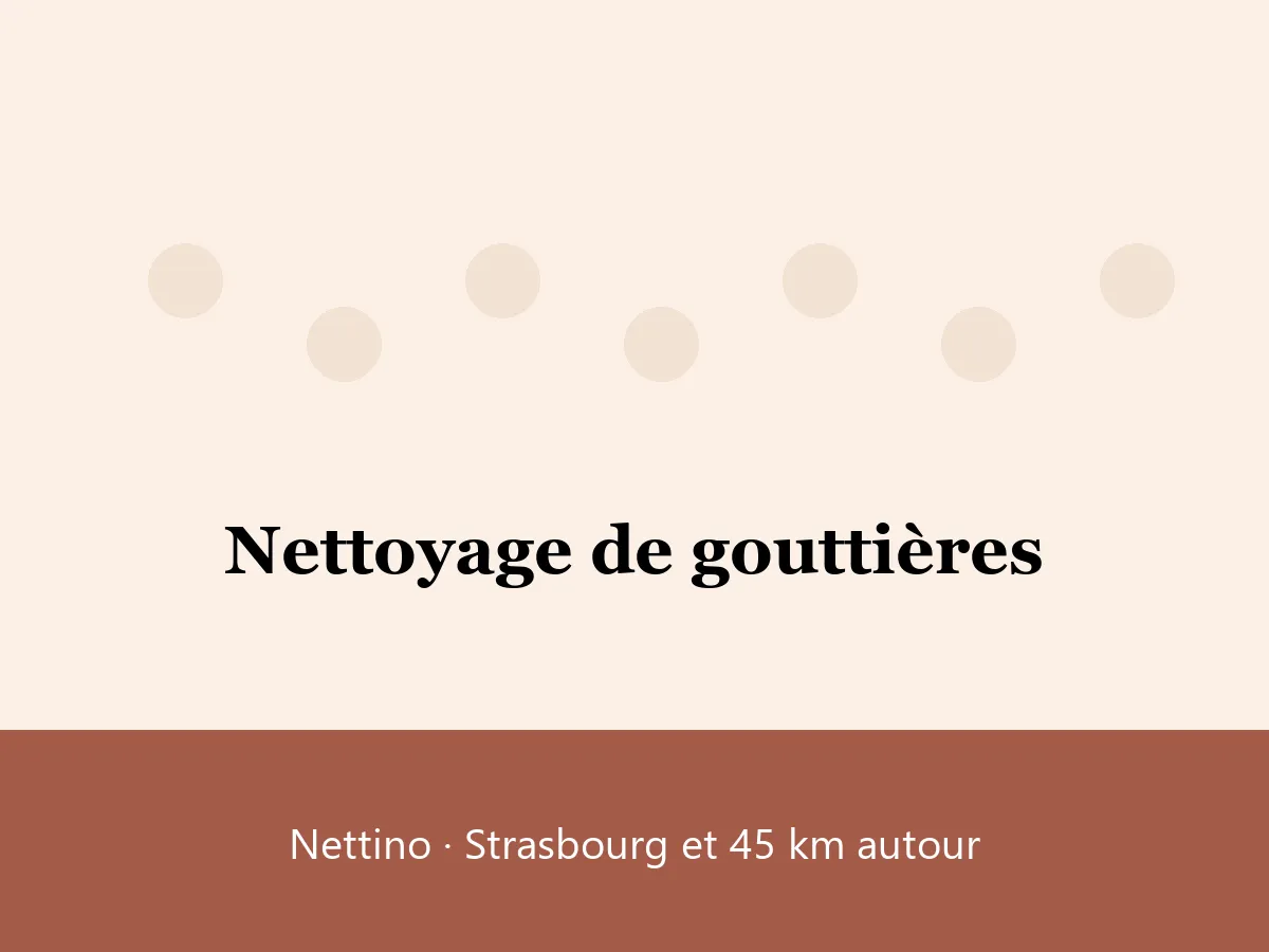 Illustration : nettoyage de gouttières à Strasbourg avec Nettino