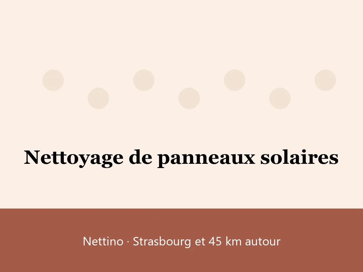 Illustration : nettoyage de panneaux solaires à Strasbourg avec Nettino